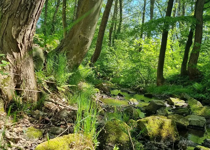 Appartement Strome *